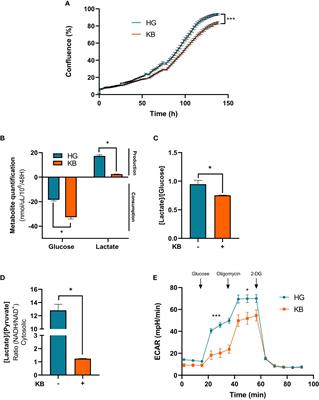 Ketogenic diet enhances the anti-cancer effects of PD-L1 blockade in renal cell carcinoma